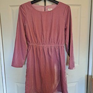 J. Crew Velour Dress
